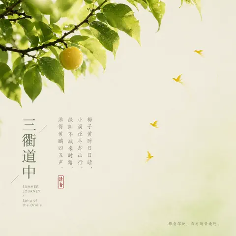 三衢道中封面